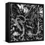 ROOTS-Sylver-Framed Stretched Canvas