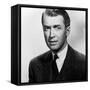 Rope, James Stewart, 1948-null-Framed Stretched Canvas