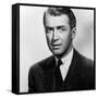 Rope, James Stewart, 1948-null-Framed Stretched Canvas