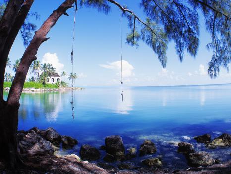 Rope Swing over Water Florida Keys Florida, USA' Photographic