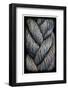 Rope Trick Black-Steven Maxx-Framed Photographic Print