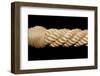 Rope-Baloncici-Framed Photographic Print