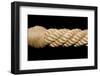 Rope-Baloncici-Framed Photographic Print