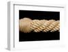 Rope-Baloncici-Framed Photographic Print