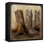 Roped in Boots-Art Licensing Studio-Framed Stretched Canvas