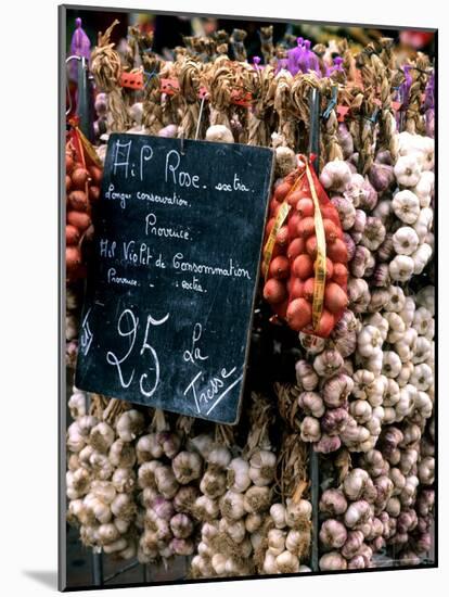 Ropes of Garlic in Local Shop, Nice, France-Bill Bachmann-Mounted Photographic Print