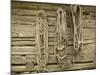 Ropes on Boathouse, Sognefjord, Norway-Russell Young-Mounted Photographic Print