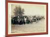 Roping and Changing Scene at --T Camp on Round Up of --T. 999 --S. and G.-John C. H. Grabill-Mounted Giclee Print