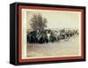 Roping and Changing Scene at --T Camp on Round Up of --T. 999 --S. and G.-John C. H. Grabill-Framed Stretched Canvas