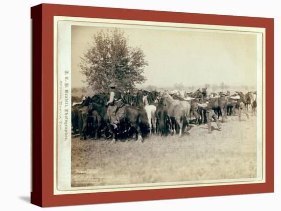 Roping and Changing Scene at --T Camp on Round Up of --T. 999 --S. and G.-John C. H. Grabill-Stretched Canvas