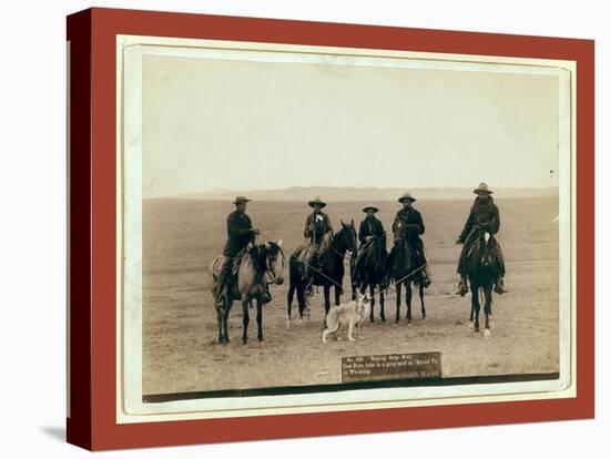 Roping Gray Wolf, Cowboys Take in a Gray Wolf on Round Up, in Wyoming-John C. H. Grabill-Stretched Canvas