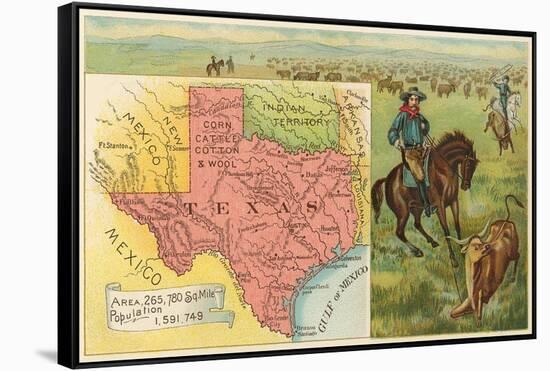 Roping Longhorn, Map-null-Framed Stretched Canvas