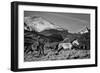 Roping the San Greys-Dan Ballard-Framed Photographic Print