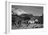 Roping the San Greys-Dan Ballard-Framed Photographic Print