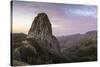 Roque De Agando in the Morning Light, La Gomera, Canary Islands, Spain-Marco Isler-Stretched Canvas