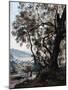 Roquebrune, 1892-Emmanuel Lansyer-Mounted Premium Giclee Print