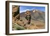Roques Chinchado, Parque Nacional Del Teide, Tenerife, Canary Islands, 2007-Peter Thompson-Framed Photographic Print