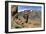 Roques Chinchado, Parque Nacional Del Teide, Tenerife, Canary Islands, 2007-Peter Thompson-Framed Photographic Print