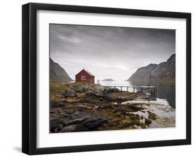 Rorbu and Jetty on Fjord, Lofoten Islands, Norway, Scandinavia, Europe-Purcell-Holmes-Framed Photographic Print