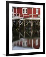 Rorbu, tradition fishing huts, village Reine, Moskenesoya. Lofoten Islands. Norway-Martin Zwick-Framed Photographic Print