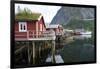 Rorbuer, traditional fishermnen's cottages now used for tourist accommodaton in Reine-Ellen Rooney-Framed Photographic Print