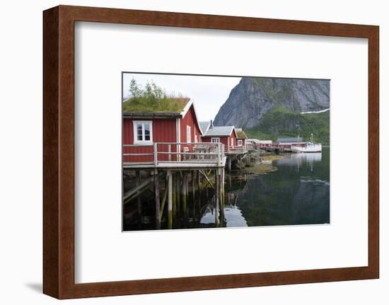 Rorbuer, traditional fishermnen's cottages now used for tourist accommodaton in Reine-Ellen Rooney-Framed Photographic Print