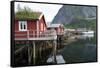 Rorbuer, traditional fishermnen's cottages now used for tourist accommodaton in Reine-Ellen Rooney-Framed Stretched Canvas