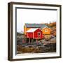 Rorburer-Philippe Sainte-Laudy-Framed Photographic Print