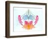 Rorschach Test Card No. 8-Science Source-Framed Giclee Print