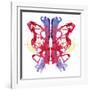 Rorschach type inkblot-Spencer Sutton-Framed Giclee Print