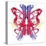 Rorschach type inkblot-Spencer Sutton-Stretched Canvas