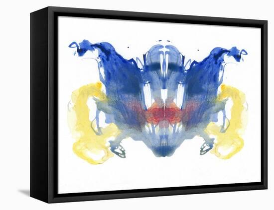 Rorschach type inkblot-Spencer Sutton-Framed Stretched Canvas