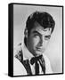 Rory Calhoun-null-Framed Stretched Canvas