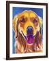 Rory-Dawgart-Framed Giclee Print