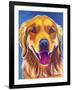 Rory-Dawgart-Framed Giclee Print