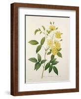 Rosa Banksiae (Banks's Rose), from 'Choix Des Plus Belles Fleurs', 1827-Pierre-Joseph Redouté-Framed Giclee Print