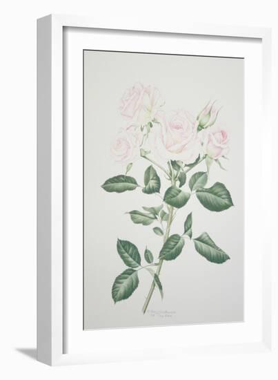 Rosa Belmonte-Sally Crosthwaite-Framed Giclee Print