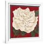 Rosa Blanca Grande I-Judy Shelby-Framed Art Print