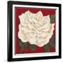 Rosa Blanca Grande I-Judy Shelby-Framed Art Print