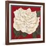 Rosa Blanca Grande I-Judy Shelby-Framed Art Print
