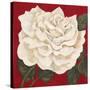 Rosa Blanca Grande I-Judy Shelby-Stretched Canvas