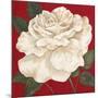 Rosa Blanca Grande II-Judy Shelby-Mounted Art Print