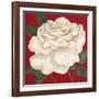 Rosa Blanca Grande II-Judy Shelby-Framed Art Print