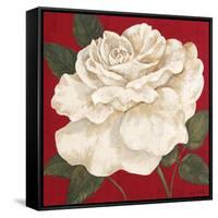 Rosa Blanca Grande II-Judy Shelby-Framed Stretched Canvas