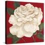 Rosa Blanca Grande II-Judy Shelby-Stretched Canvas