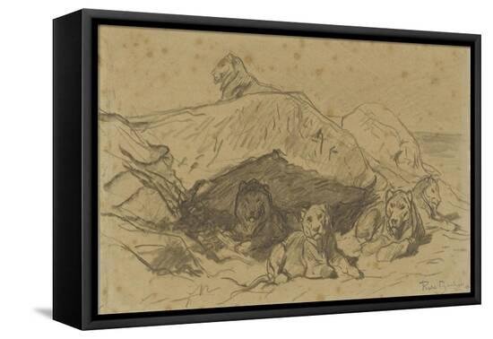 Stretched Canvas Print, , large