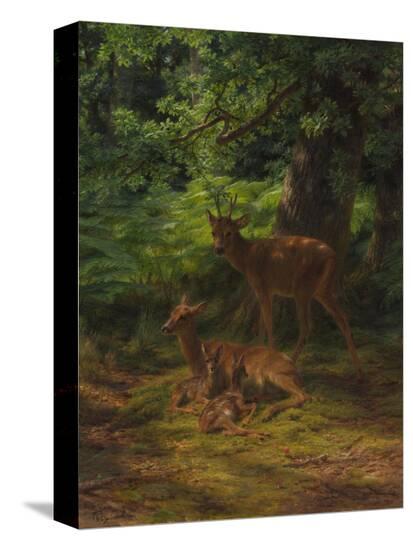 Stretched Canvas Print, , large