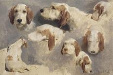 Study of Light and Shade (Oil on Card Laid Down on Canvas)-Rosa Bonheur-Giclee Print