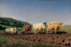 Ploughing in the Region of Nevers: Clearance-Rosa Bonheur-Art Print