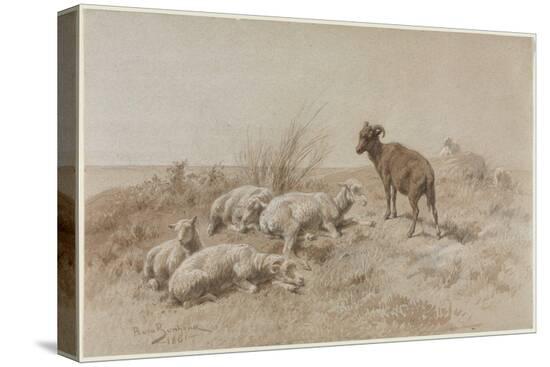 Stretched Canvas Print, , large